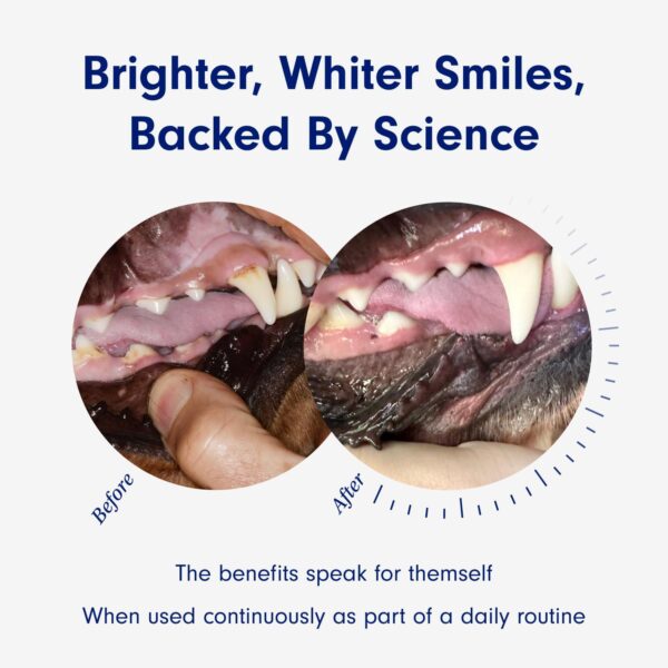 PetLab Co. ProBright Dental Powder